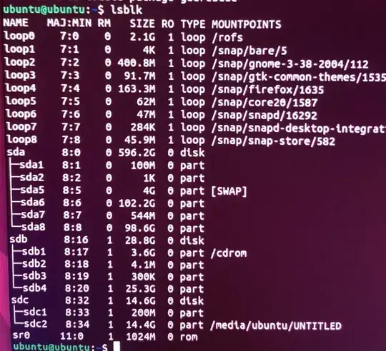 Photo of lsblk results