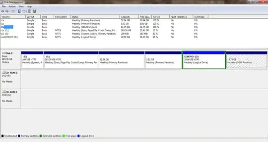 Windows disk management screen shot