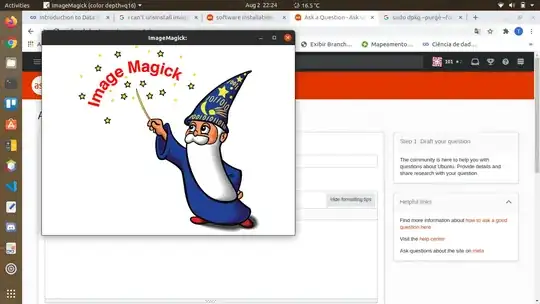 screenshot showing ImageMagick running