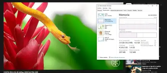 Windows Task Manager