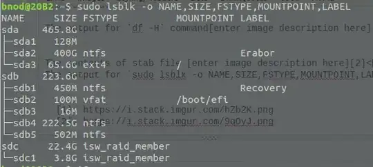 The output for `sudo lsblk