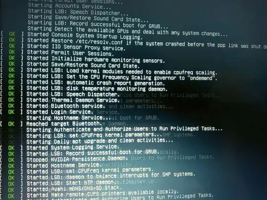 photo of screen with service starting messages