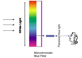 light filters science