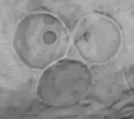 NPR's March 10, 2023 "Newly found asteroid has a 'very small chance' of hitting Earth, NASA says" https://www.npr.org/2023/03/10/1162659328/asteroid-2023-dw-nasa-earth-impact