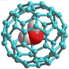 ortho- or para- water trapped in a fullerene cage