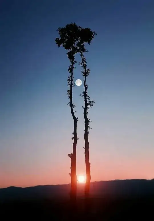 Image of the sun near the horizon with the moon above it
