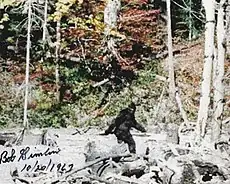 Patterson–Gimlin film