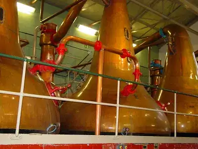 Commercial whisky pot stills