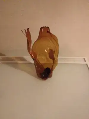 The late plastic bottle.