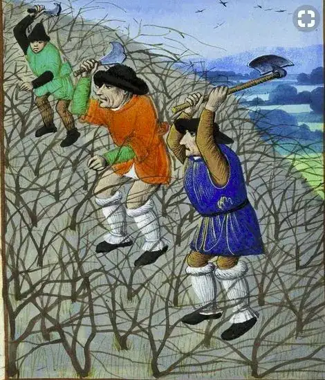Pruning Grapes Middle Ages France