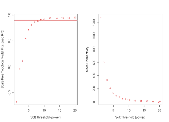 normal scale-free topology