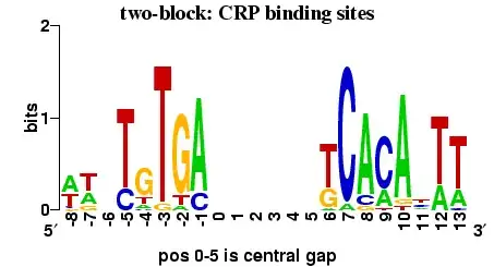 CRP binding site logo