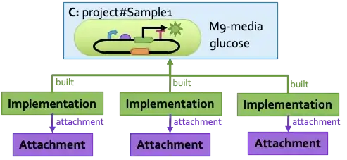 SBOL representation of three replicates of a sample