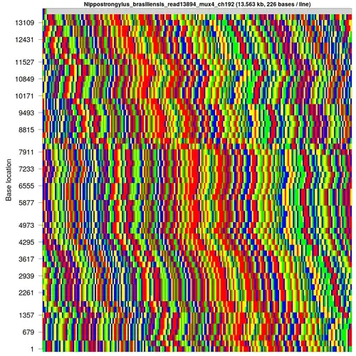 Repeat sequence represented in a rectangular fashion