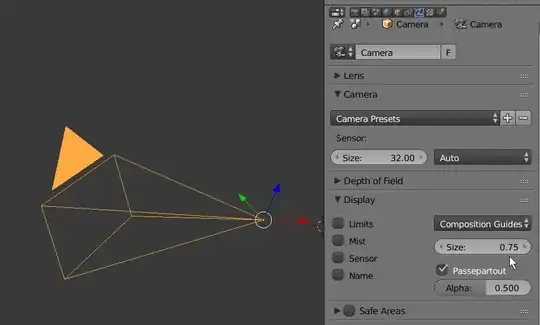 scale camera display only
