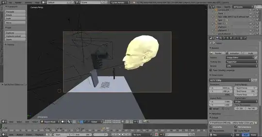 This is the camera view