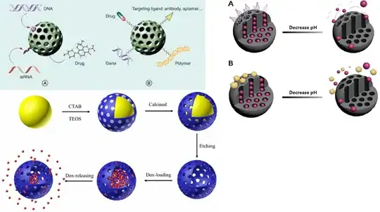 Example of porous particle and cutaway view of a particle