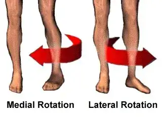 Medial and lateral rotation