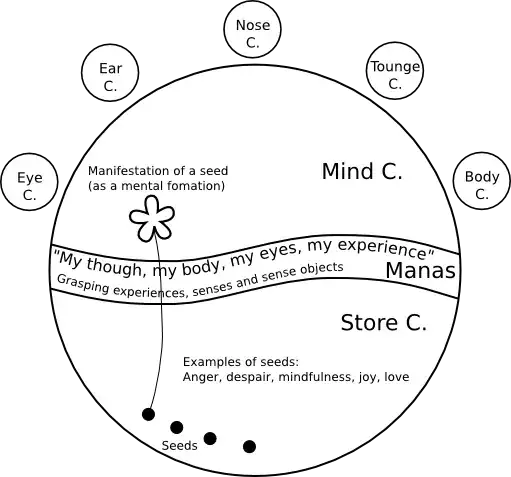 overview-of-the-mind