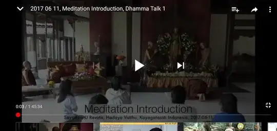 Revara PaAuk's student Dhamma Talk