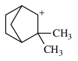 3,3‐dimethylbicyclo[2.2.1]heptan‐2‐ylium