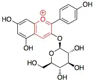 Structure of callistephin with pyrylium ring highlighted