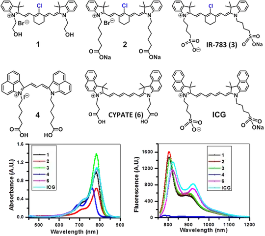 IR fluorescent dyes