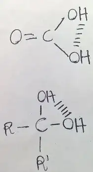 proposed intramolecular hydrogen bond in H2CO3 and gem-diol