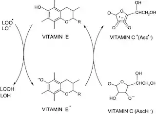 vit C-Vit E