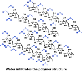 Water molecules invading the polymer structure