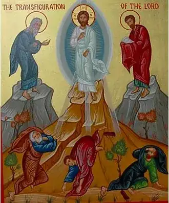 Transfiguration Icon
