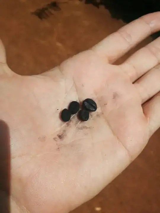 Over-roasted Cuban beans (Caturra) at a plantation near Viñales, Cuba.