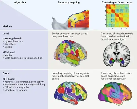 Brain Parcellation Images