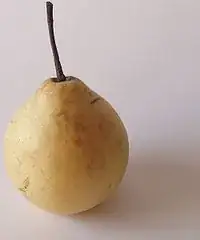 Asian pear