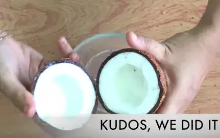 Break Coconut into two pieces like below