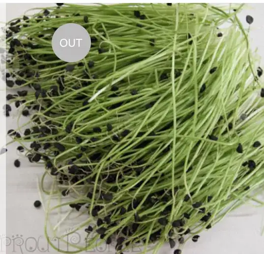 microgreens