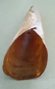 cone