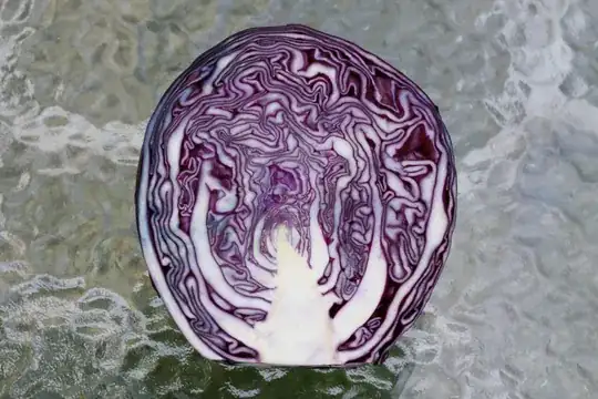 red cabbage cross-section, from Wikipedia