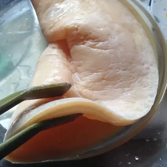 cheese smelling mother of vinegar