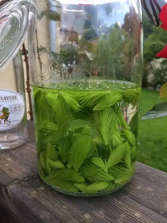 During the fermentation