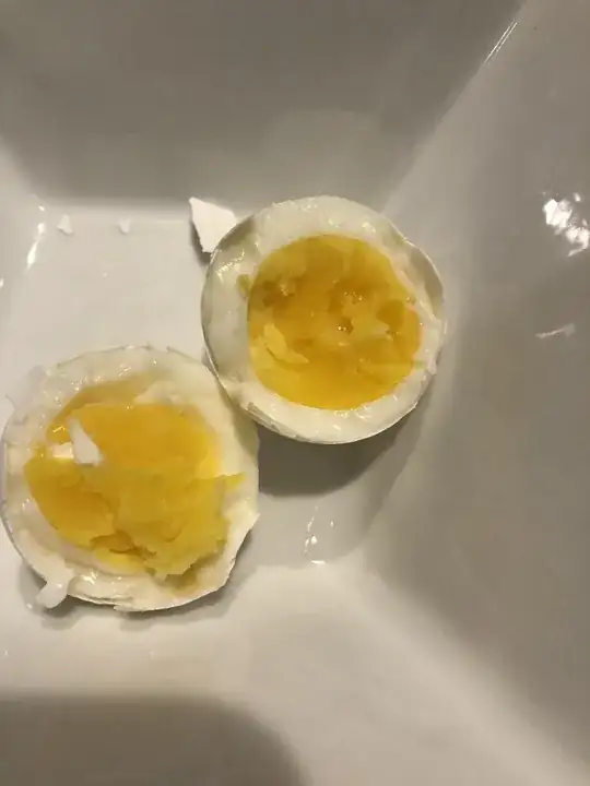 First picture of an egg