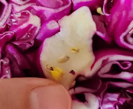 red cabbage with yellow and white stuff on top