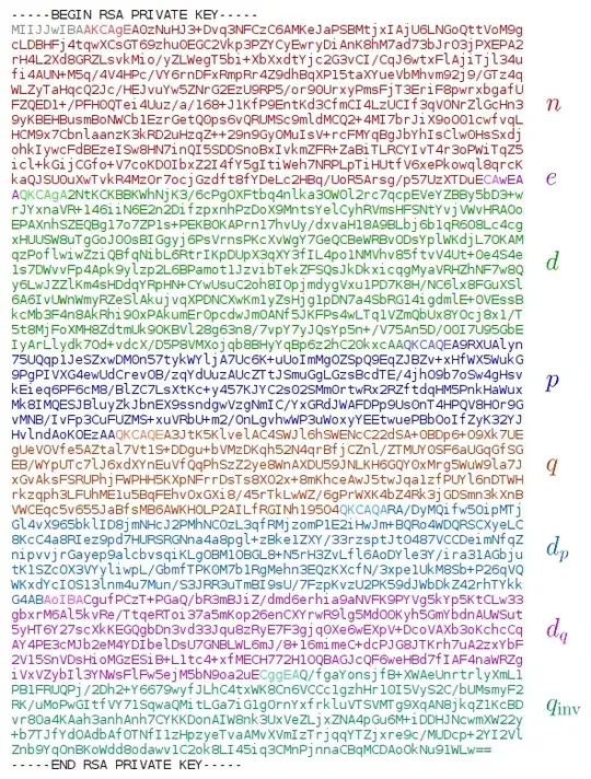 RSA private key with highlightning of the encoded numbers