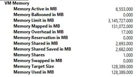 VM Memory perfmon counters
