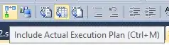Include Actual Execution Plan