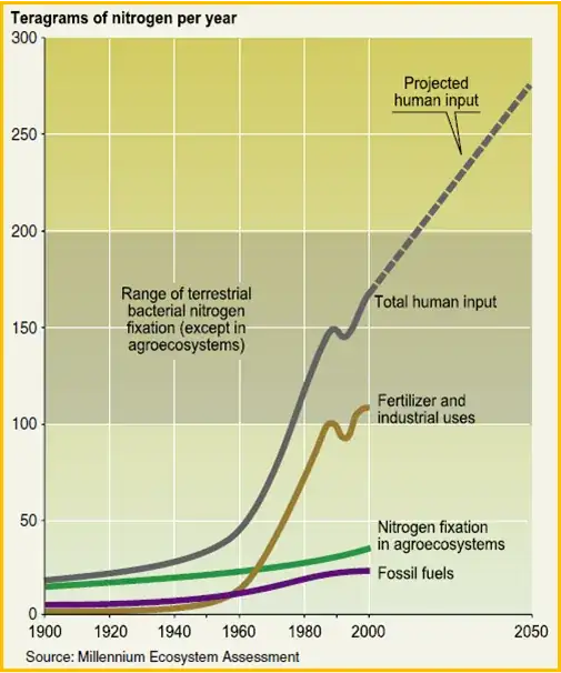 nitrogen human input