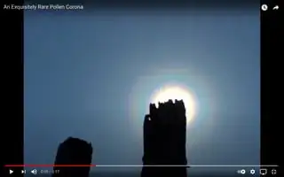 Screen shot from the Forrest Mims YouTube video An Exquisitely Rare Pollen Corona https://www.youtube.com/watch?v=5besA3kwJ60