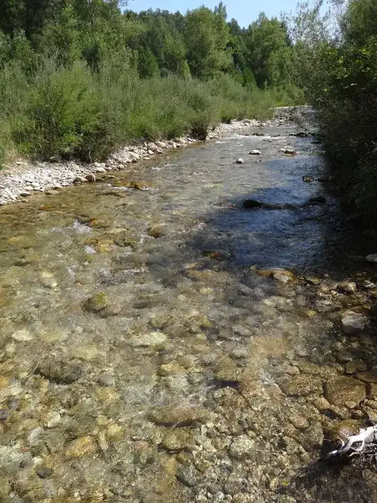 Ribera Salada in Castellar de la Ribera. 