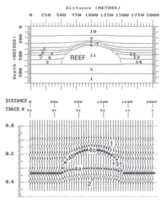 Seismic profiles