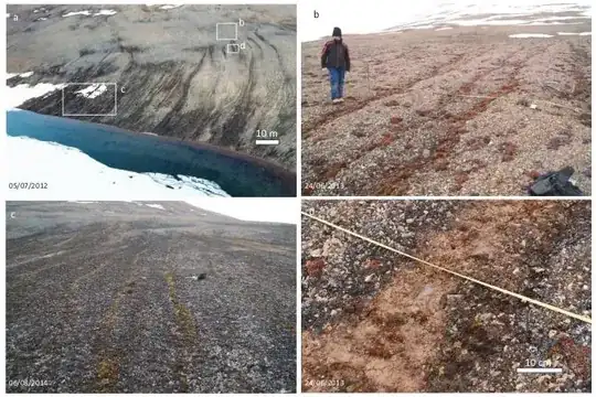 Water Tracks on Ward Hunt Island